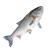مبروكة مبروكة